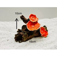 ÇİÇEKLİ KÖK AKVARYUM DEKORU