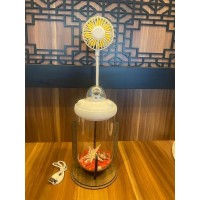 Mini Akvaryum Fanlı Işıklı USB Şarjlı Masa Üstü Fan ve Akvaryum