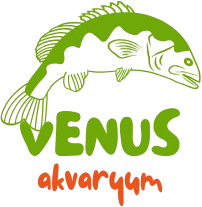 Venüs Akvaryum